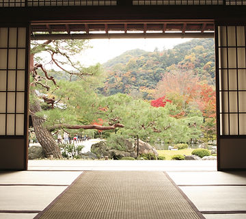 View of Meditation Garden